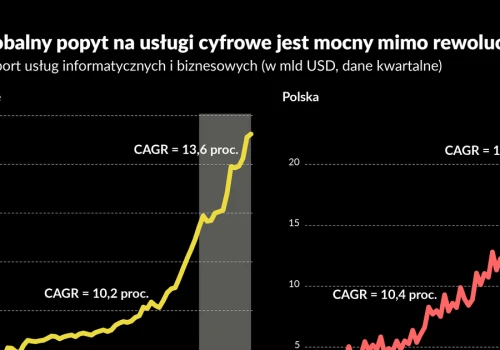 Wieszczyli mu śmierć, a on bije kolejne rekordy. Paradoks eksportu usług cyfrowych z Polski i Indii
