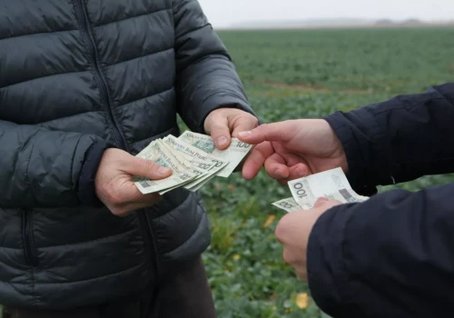 Rząd chce pomóc oszukanym w „Czystym Powietrzu”. Dług może zostać zawieszony