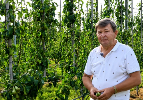 Grusza potrzebuje żyznej gleby. Wojciech Kot o budowaniu potencjału nowej kwatery