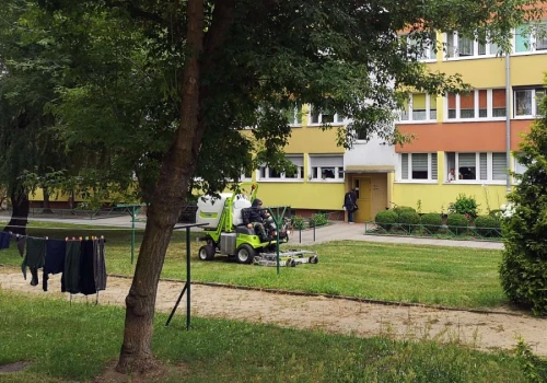„Najlepiej, żeby trawników w ogóle nie było”. Sprawdziliśmy, czy to ma sens
