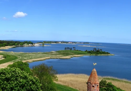 Martwy humbak znaleziony w Zatoce Greifswaldzkiej