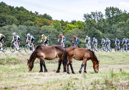 Vuelta a España 2028: Wielki start wyścigu prawdopodobnie na Sardynii
