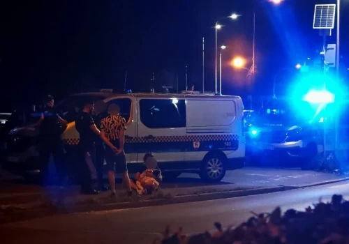 Pies potrącony przez samochód na ulicy Różyckiego w Jeleniej Górze