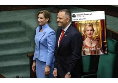 Afera o mem ze Shrekiem. Prokuratura nagle wycofała oskarżenie