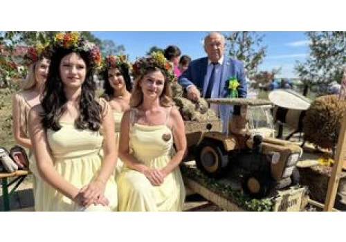 Imprezy na Podkarpaciu 14-16 sierpnia. Koncerty, dożynki, festiwale i dni miast