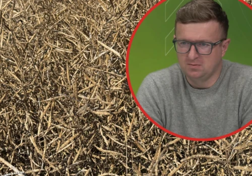 Ponad 160 ha jeszcze do zbioru, w tym 90 ha rzepaku. Trudne i słabe żniwa u Łukasza Pergoła
