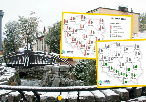Taką pogodę przyniosą jesień i początek zimy. Jest nowa prognoza sezonowa IMGW do grudnia