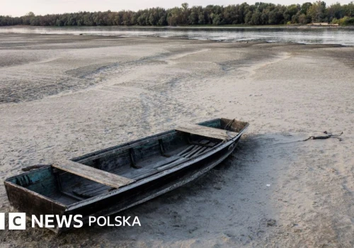 Lęk klimatyczny: wraz z temperaturami rosną obawy o przyszłość