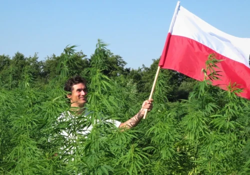 Kombinat Konopny pokazał wyniki. Powiem wam: Kowalski ma moc