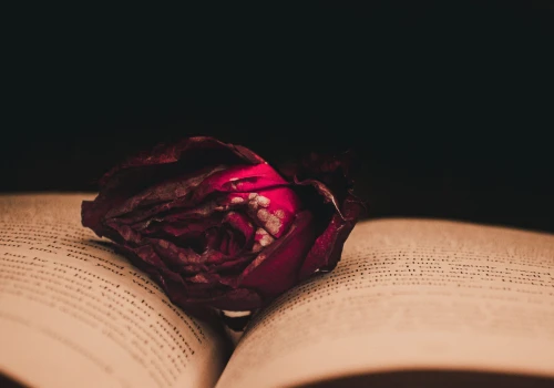 Book boyfriend czy oprawca? Gdzie kończy się dark romance, a zaczyna romantyzowanie przemocy