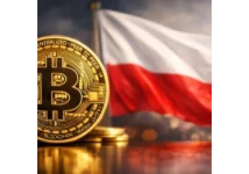 Skarbówka chce wiedzieć, ile kryptowalut miałeś na koniec roku. Prawnik ujawnia nowe wytyczne