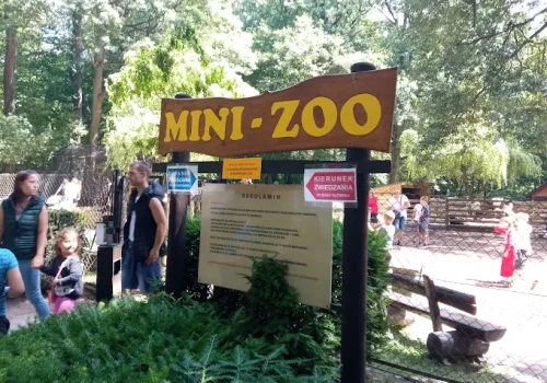 Kucyk ugryzł dwulatka w krakowskim Mini ZOO. Dziecko przeszło serię szczepień