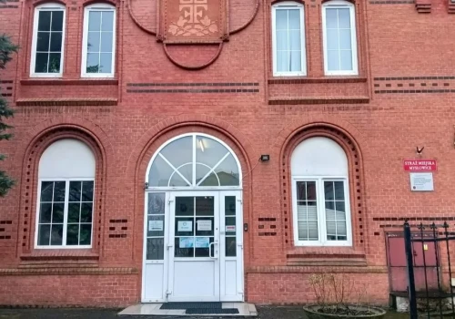 Dwie godziny ratowali małego kota spod maski samochodu w Mysłowicach