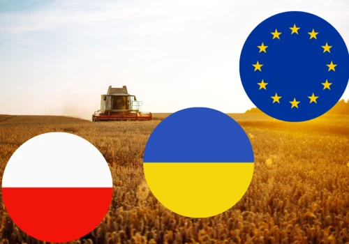 Ukraina w UE zmieni dopłaty dla rolników? Polska może stracić miliardy euro