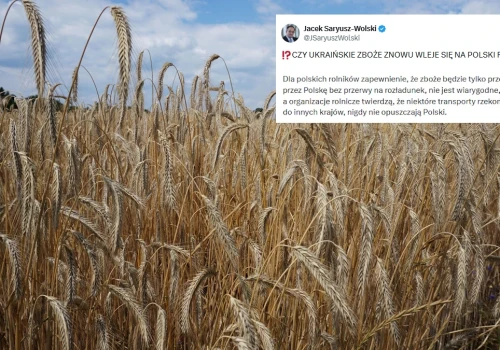 Zboże z Ukrainy znów zaleje Polskę? Rząd rozmawia, Kijów chce 220 mln euro