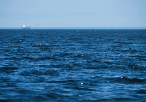 Na Pacyfiku szykuje się rekord. El Niño może podbić ceny także w Polsce