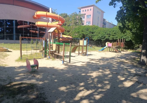 Zaskakujący pomysł lubelskiej radnej. Chce, aby plac zabaw dla dzieci zamienić na wybieg dla psów