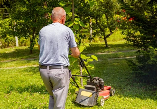 Darmowy nawóz do pomidorów i malin. Zrobisz przy okazji koszenia