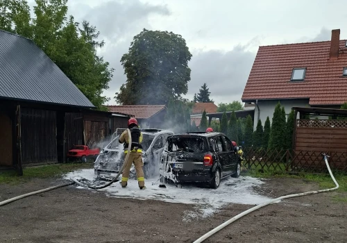EV płoną rzadziej niż auta spalinowe. Statystyki z Polski i świata nie pozostawiają wątpliwości