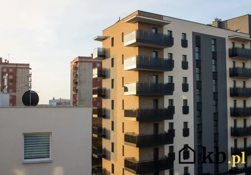 Zamieniła nowoczesny apartament na starszy blok. Po kilku tygodniach wiedziała, że nie chce wracać