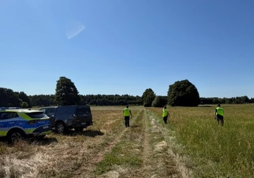 Puma znów widziana na Mazowszu. Policja do mieszkańców: Nie ryzykujcie