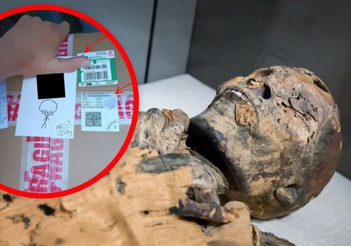 Klątwa mumii powraca. Handel szczątkami kwitnie w internecie