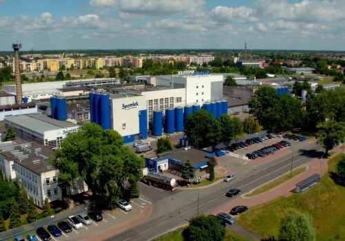 Serowy gigant będzie jeszcze większy. Radzyński Spomlek zamierza przejąć kolejną mleczarnię