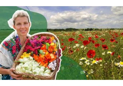 Dzikie owoce, stokrotki i inne niedoceniane 