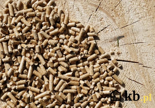 Ile naprawdę kosztuje ogrzewanie pelletem i drewnem? Różnice mogą zaskoczyć