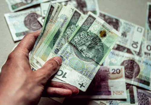 Dochód z tej uprawy to 5 tys. zł z hektara. Rośnie potencjał w Polsce
