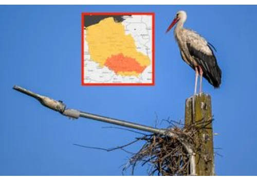 IMGW bije na alarm. Upały do 35 st. C i pomarańczowe alerty na południu kraju