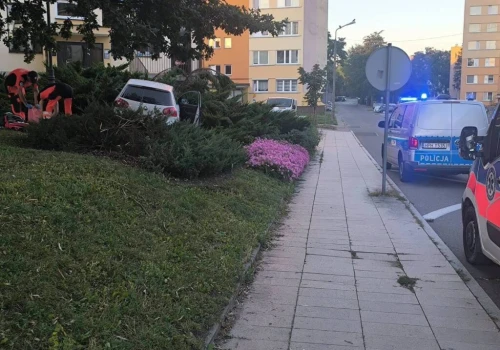 Tragedia o poranku. Kierowca wypadł z jezdni i uderzył w słupki chodnikowe. 43-latek zginął na miejscu