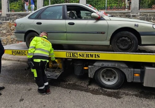 Zaginiony pies w kwiaciarni, auto zaparkowane na skrzyżowaniu, areszt dla uciążliwego bezdomnego. Interwencje straży miejskiej