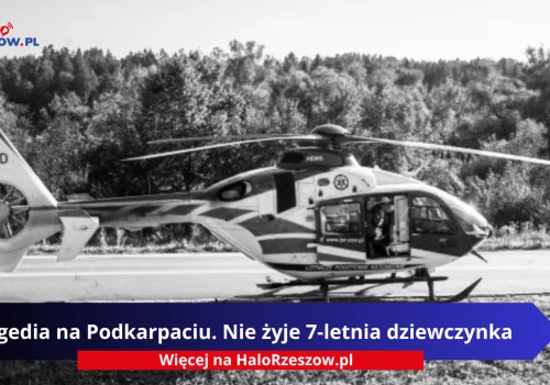 Tragedia na Podkarpaciu. Nie żyje 7-letnia dziewczynka