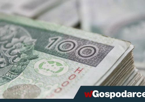 Ufamy złotemu! Trzymamy w gotówce górę pieniędzy