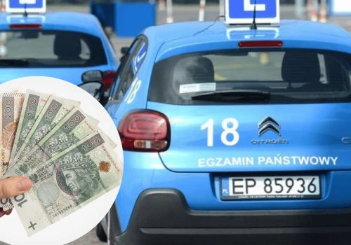Tyle zarabiają instruktorzy nauki jazdy. Ta kwota może mocno zdziwić