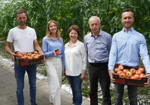 Bracia budują szklarnie, siostra robi pastę. Pomidorowy biznes Bajonów rośnie