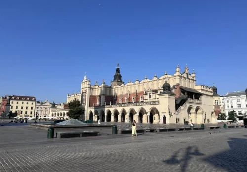 Czy Kraków naprawdę się przegrzewa? Nie wszystko jest winą betonu (ROZMOWA PULSU)