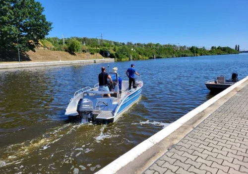 200 kg śniętych ryb na Kanale Gliwickim. Znów zawiniła złota alga