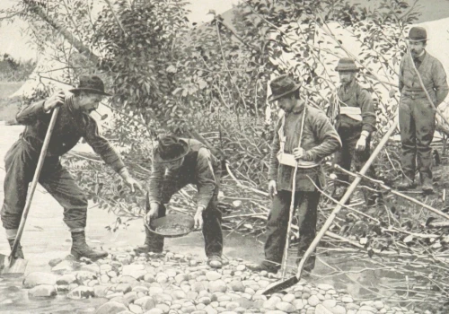 Dziadek Donalda Trumpa też się tam wzbogacił. 130 lat temu gorączka złota nad Klondike rozpoczęła rekordową migrację w historii ludzkości