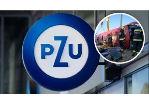 PZU uruchomiło pomoc po tragedii na Węgrzech. Podaje dwa numery