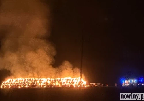 „Jesteśmy zdruzgotani”. To gospodarstwo Truskawki Potaczek straciło słomę w pożarze na Ocicach
