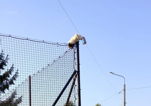 Liczyła się każda minuta! Niezwykła akcja strażaków z Kuniowa