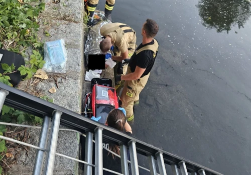 Spadła z muru oporowego. „Pierwsza karetka po prostu odjechała” – mówią świadkowie