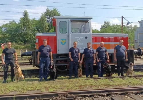 Bandit i Pancer to prawdziwe psy na kolejowych przestępców