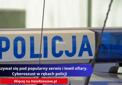 Podszywał się pod popularny serwis i łowił ofiary. Cyberoszust w rękach policji