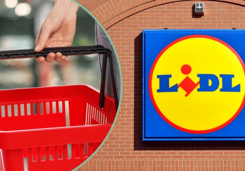 Lidl przyszykował specjalne promocje dla posiadaczy Karty Dużej Rodziny. Czas do końca sierpnia