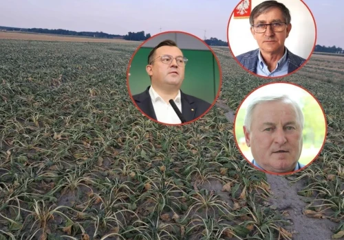 Rolnicy żądają stanu klęski żywiołowej. Minister: „To nic nie zmieni”