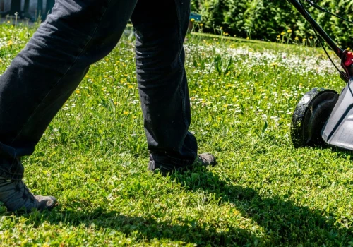 Robisz to podczas koszenia trawnika? Dlatego tak słabo wygląda