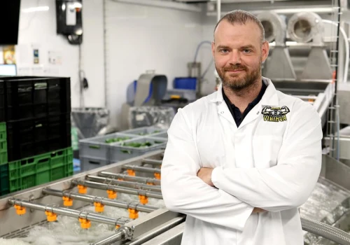 Jak Kuchnia Vikinga obniży koszt pierogów. Fabryka za 150 mln zł podwoi moce produkcyjne